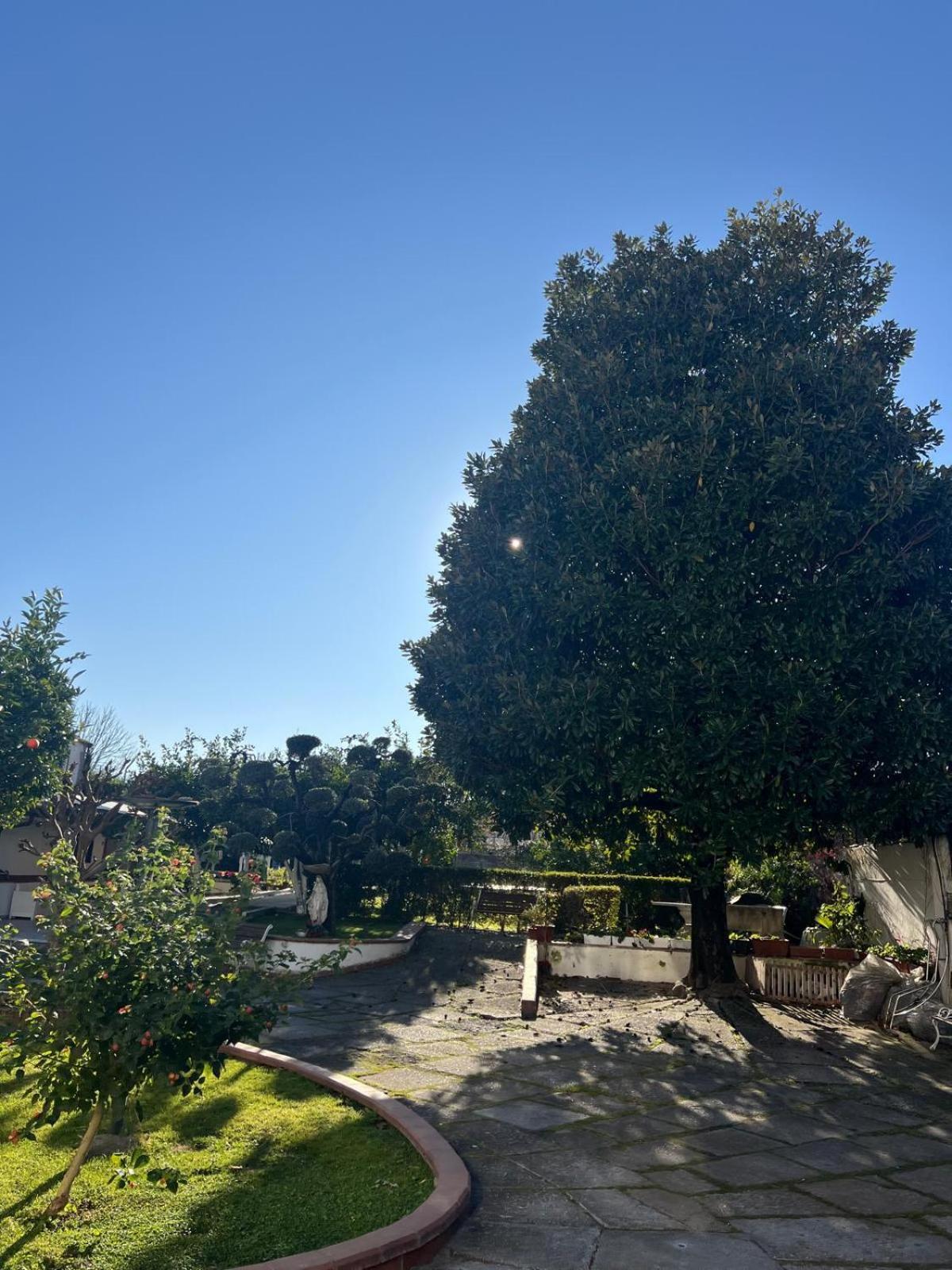 Maison Aielli 112 San Giuseppe Vesuviano Buitenkant foto